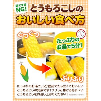 【令和8年発送先行受付】森本農園とうもろこし20本セット