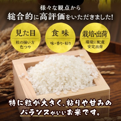 【令和7年産】特Aランクななつぼし　単一農家の美味しいお米10kg_tb15-002