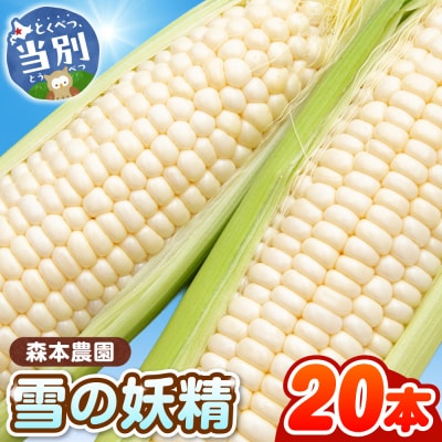 【2026年先行受付】森本農園とうもろこし「雪の妖精」20本セット_tb20-002