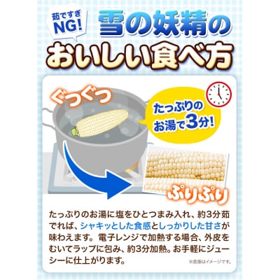 【2026年先行受付】森本農園とうもろこし「雪の妖精」20本セット