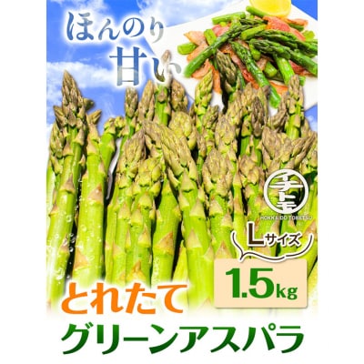 【令和7年発送先行受付】イチカワトモヒロ農場とれたてグリーンアスパラLサイズ1.5kg