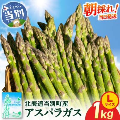 【令和8年発送先行受付】イチカワトモヒロ農場とれたてグリーンアスパラLサイズ1kg_tb18-002