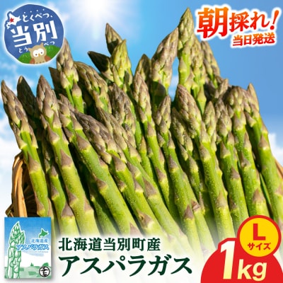 【令和8年発送先行受付】イチカワトモヒロ農場とれたてグリーンアスパラLサイズ1kg_tb18-002