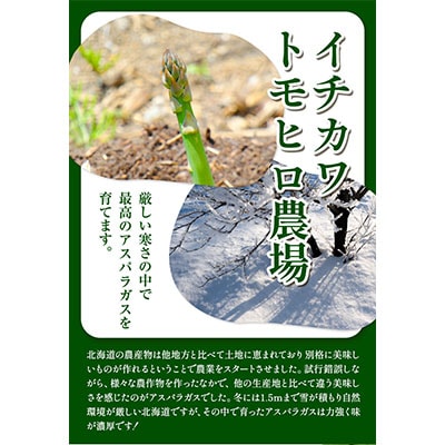 【令和8年発送先行受付】イチカワトモヒロ農場とれたてグリーンアスパラLサイズ1kg