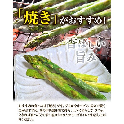 【令和8年発送先行受付】イチカワトモヒロ農場とれたてグリーンアスパラLサイズ1kg