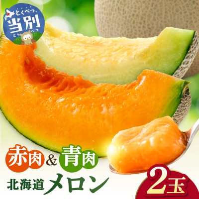 【2026年先行受付《8/11までに発送予定》】メロン(赤肉・青肉)_tb12-009