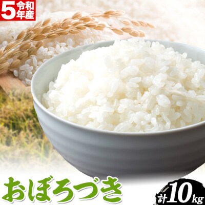 当別産米おぼろづき10kg