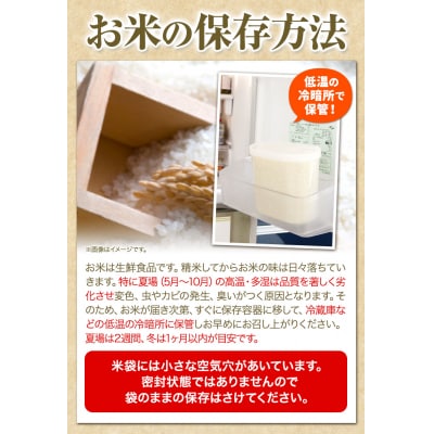 当別産米おぼろづき10kg
