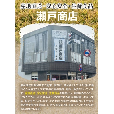当別産米ななつぼし10kg
