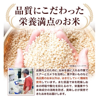【令和6年産新米先行受付】野口農園お米セット10kg「ななつぼし・おぼろづき」
