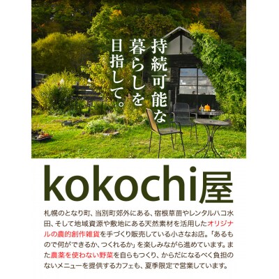 もみがらチェア【緑色】