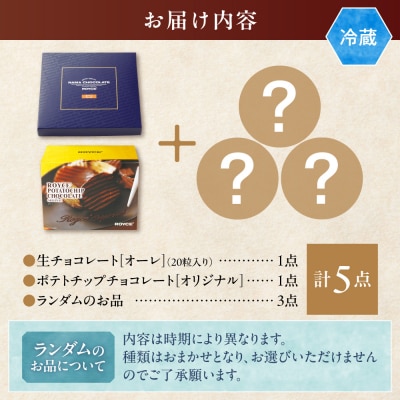 ROYCE'人気スイーツ詰合せ(B)_tb01-002