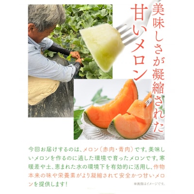 野口農園メロン・お米セット