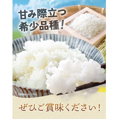 大塚農場の特別栽培認証米’おぼろづき’無洗米10kg