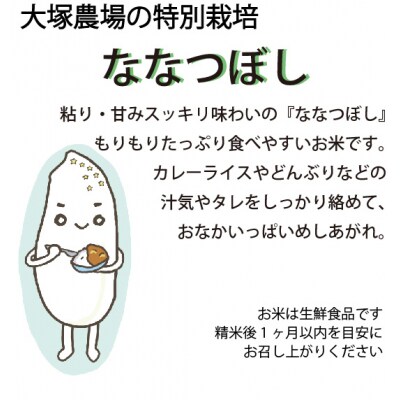 大塚農場の特別栽培認証米’ななつぼし’無洗米10kg