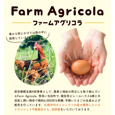 こだわりの平飼いたまご食べ比べセット