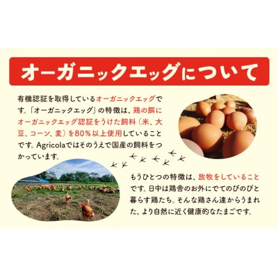 こだわりの卵、オーガニックエッグを含む3種食べ比べセット
