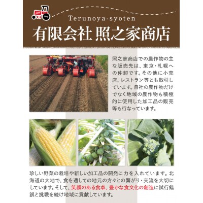 とうもろこしスープ4箱セット