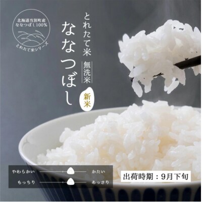 当別町産「とれたて米」無洗米ななつぼし5kg　 | ふるさと納税のお礼品