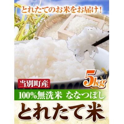 当別町産「とれたて米」無洗米ななつぼし5kg　