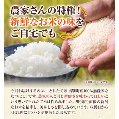 当別町産「とれたて米」無洗米ななつぼし5kg　