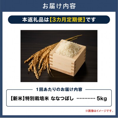 【令和8年度先行受付】大塚農場 特別栽培米ななつぼし　5kg【3ヶ月定期便】_tb17-011