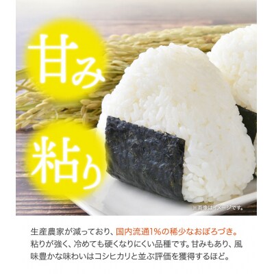 特別栽培米おぼろづき　白米5kg　3ヶ月定期便