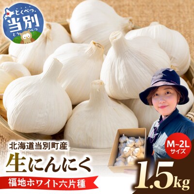 【令和9年度先行受付】生にんにく(福地ホワイト六片種)1.5kg_tb22-004