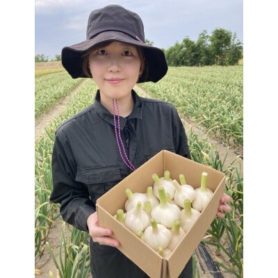 【令和5年先行受付】生にんにく(福地ホワイト六片種)1.5kg