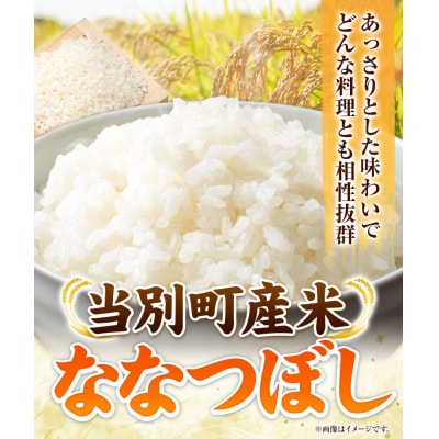 当別産米5kgななつぼし【5ヶ月連続定期便】
