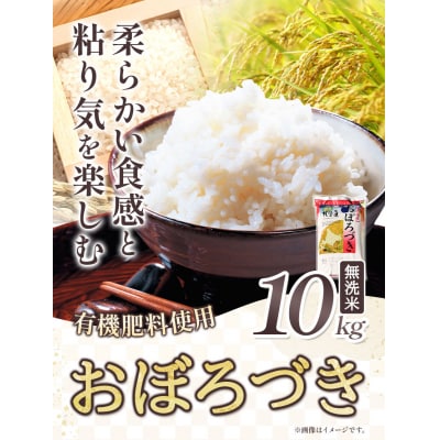 【令和6年産新米】きやじファーム　無洗米「おぼろづき」10kg