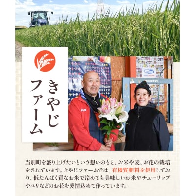 【令和6年産新米】きやじファーム　無洗米「おぼろづき」10kg