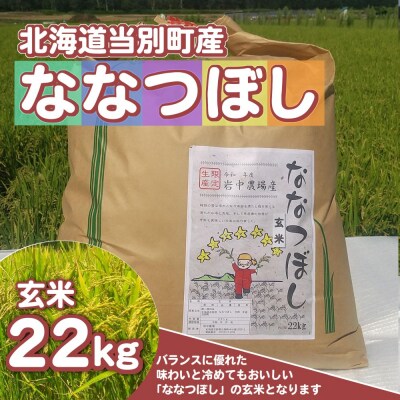 玄米ななつぼし22kg | ふるさと納税のお礼品