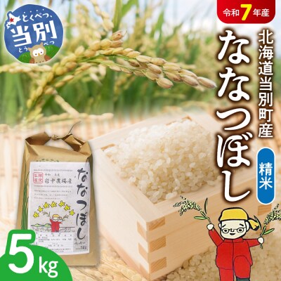 【令和7年産】精米ななつぼし5kg_tb11-002