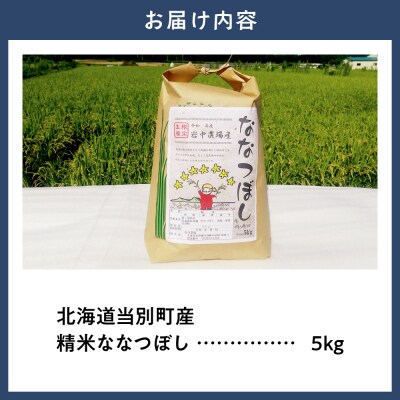 【令和7年産】精米ななつぼし5kg_tb11-002