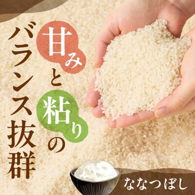 【令和8年度産米】精米ななつぼし10kg_tb11-003