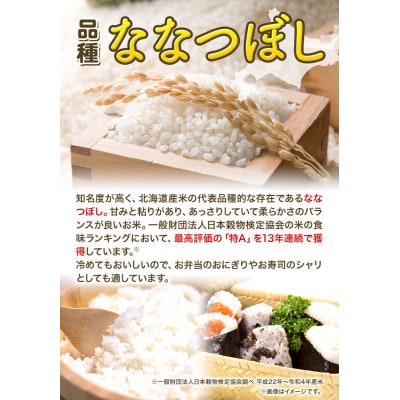 【令和7年産】精米ななつぼし10kg