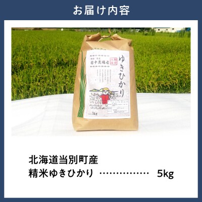 【令和7年産】精米ゆきひかり5kg_tb11-015