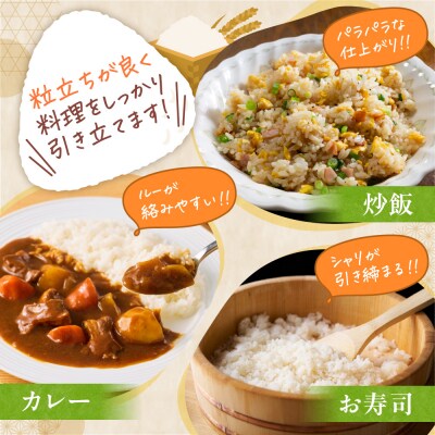 【令和8年度産米】精米ゆきひかり5kg_tb11-015
