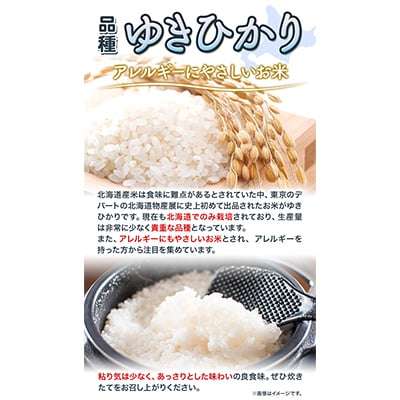 【令和7年産新米先行受付】精米ゆきひかり3kg
