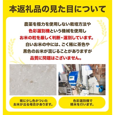 【令和7年産新米先行受付】精米ゆきひかり3kg