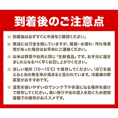 【令和7年産新米先行受付】精米ゆきひかり3kg
