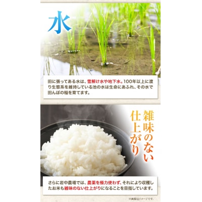 【令和6年産新米先行受付】精米ほしのゆめ3kg