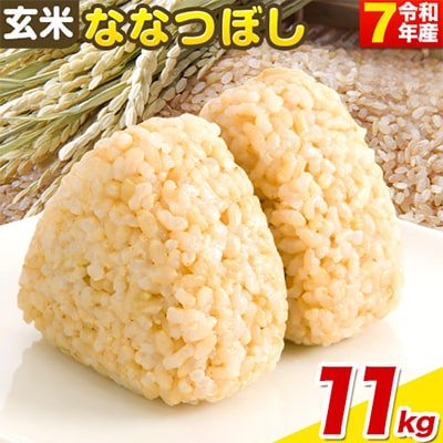 【令和7年産新米先行受付】玄米ななつぼし11kg