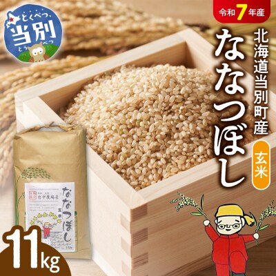 【令和7年産】玄米ななつぼし11kg_tb11-017