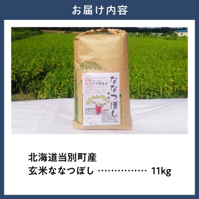 【令和7年産】玄米ななつぼし11kg_tb11-017
