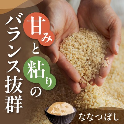 【令和8年度産米】玄米ななつぼし11kg_tb11-017