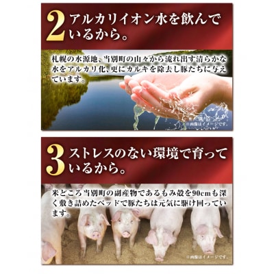 浅野農場どでかシューマイセット