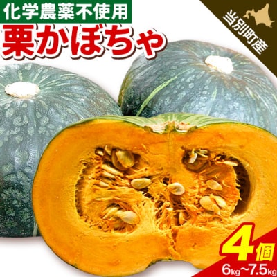 北海道当別町産かぼちゃ:4個セット