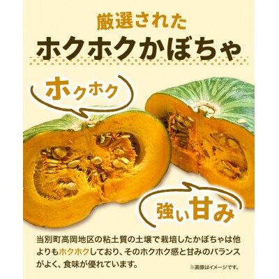 北海道当別町産かぼちゃ:お任せ4個セット